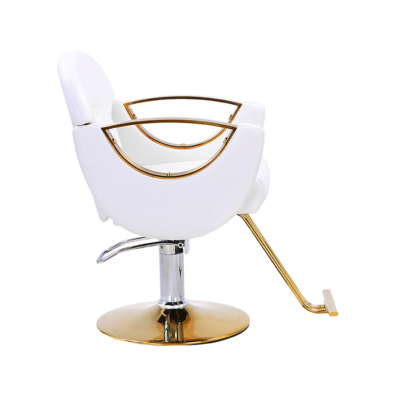 HZ8765BZ / HZ8765WZ / HZ8765PZ / HZ8765Z লাইট ডিউটি ​​স্টাইলিং সেলুন চেয়ার