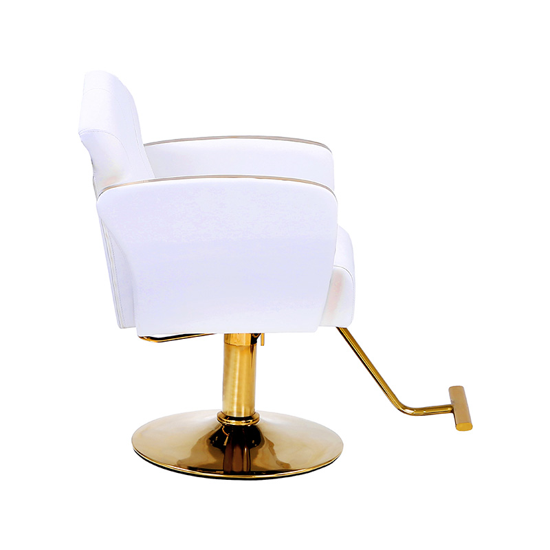 HZ8808 / HZ8808W Auty সেলুন স্টাইলিং চেয়ার