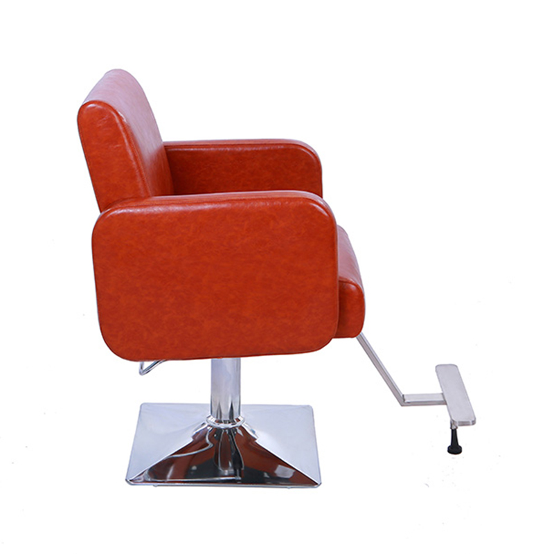 HZ88127 বাদামী পুরু সাশ্রয়ী মূল্যের সেলুন চেয়ার