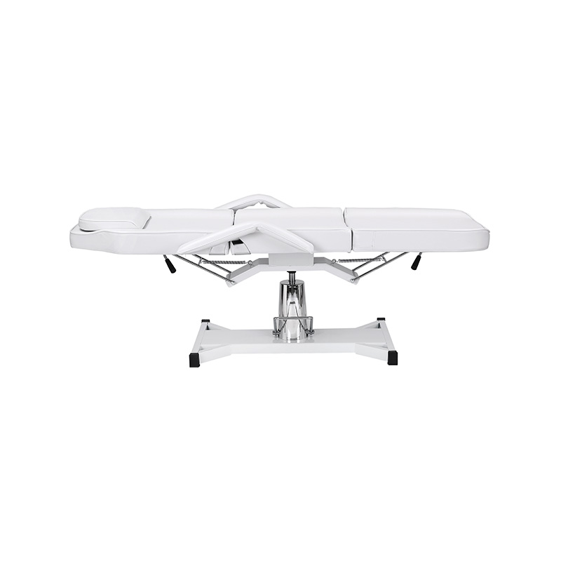 HZ006BKD / HZ006CWD / HZ006CW হাইড্রোলিক ট্যাটু চেয়ার এস্তেটিশিয়ান বিছানা