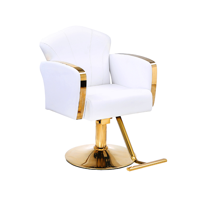 HZ8808 / HZ8808W Auty সেলুন স্টাইলিং চেয়ার